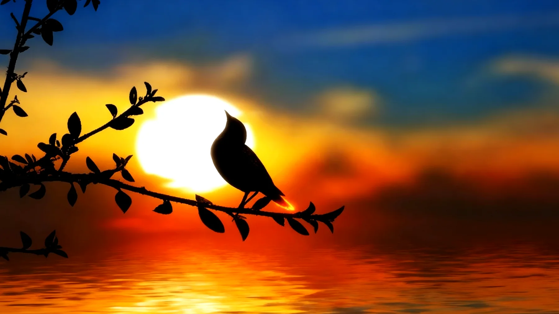 Beautiful 2026-01-24T18:33:28.141Z"