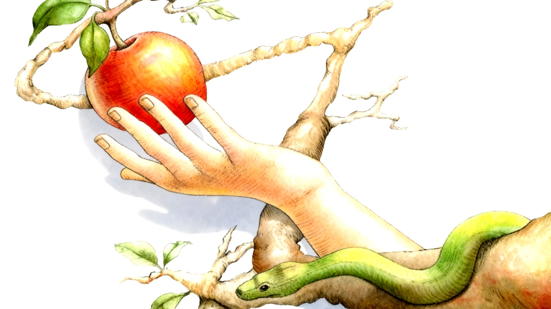 Forbidden Fruit2026-01-14T18:58:11.954Z"