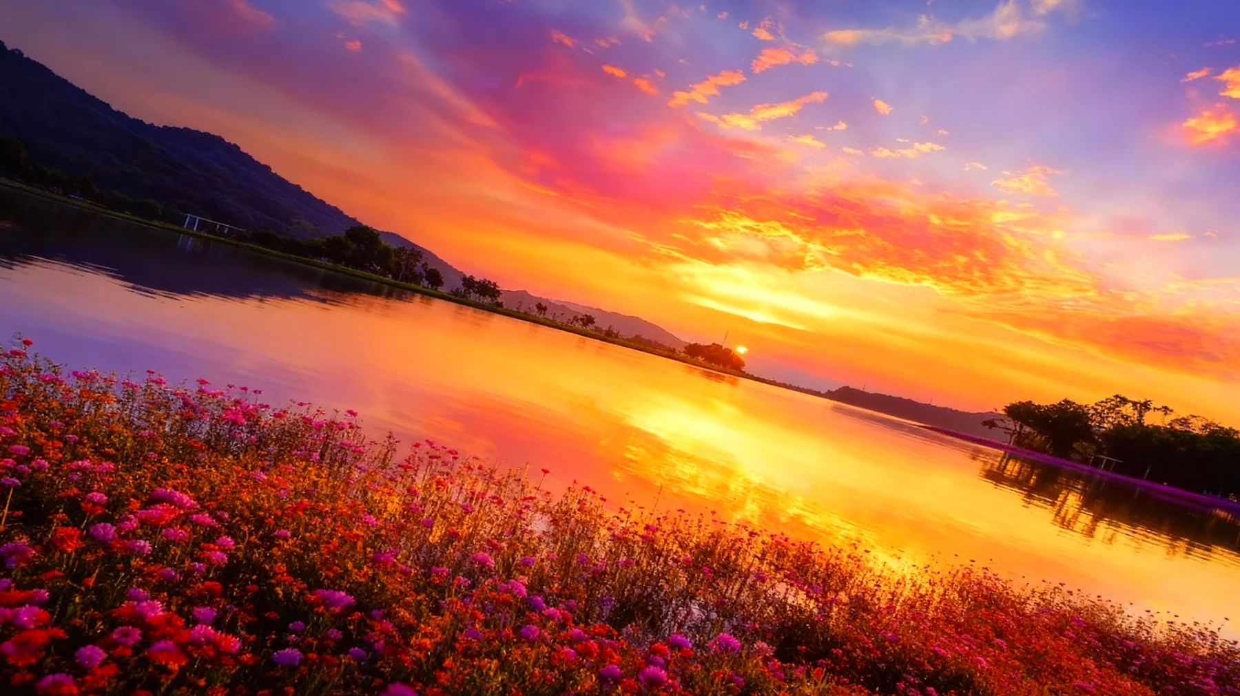 Beautiful 2026-02-02T10:33:56.670Z"